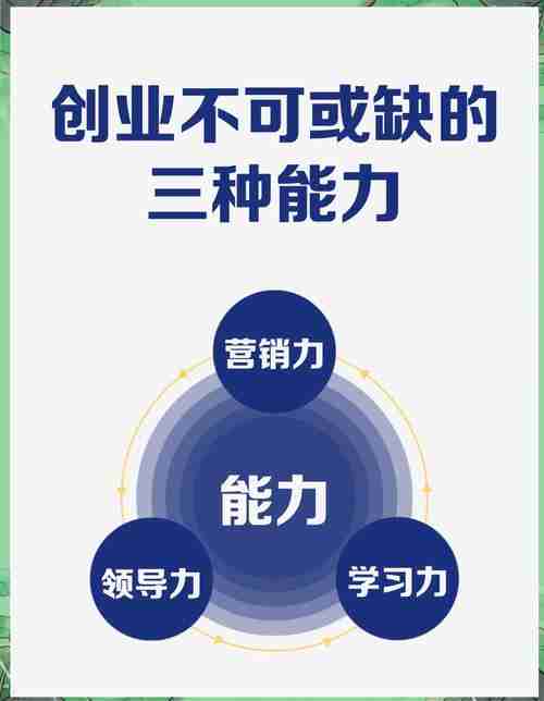 掌握澳洲创业技巧，缔造商业传奇，如何在澳洲成功创业，技巧与策略